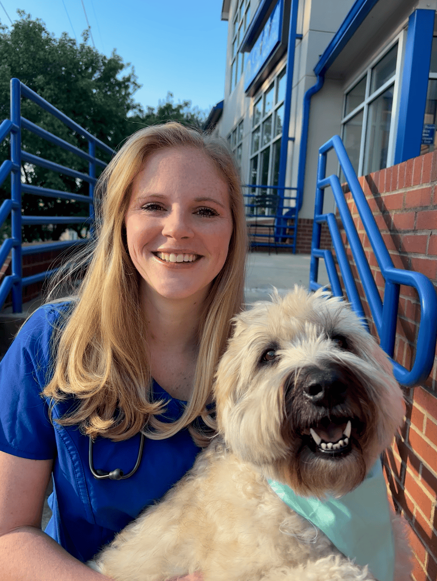 Dr. Meghan Jessee