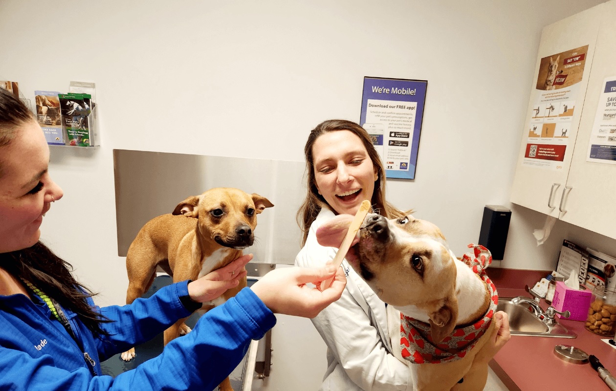 Veterinary hospital in Cary