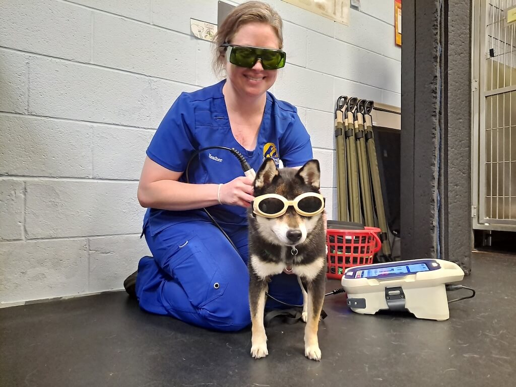 lasertherapy