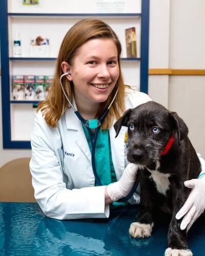 Dr. Ashley Karoly