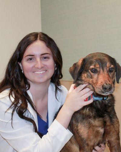 Dr. Erin Rossics