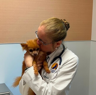 decor image on Care First Animal Hospital