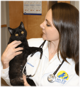 Dr. Sawyer treats a cat