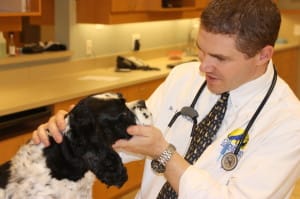 Dr Strunck at Grace Park in Morrisville performing an exam on a dog